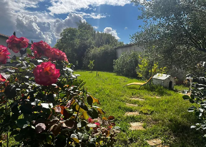 Gite De L\'Olivier