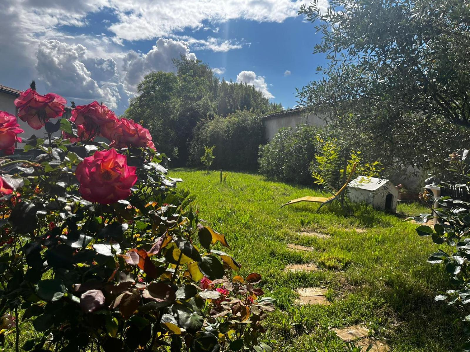 De L'olivier